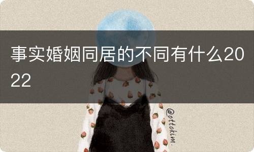 事实婚姻同居的不同有什么2022