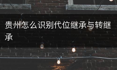 贵州怎么识别代位继承与转继承
