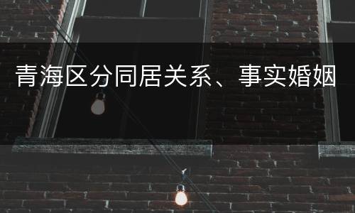 青海区分同居关系、事实婚姻