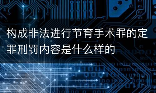 构成非法进行节育手术罪的定罪刑罚内容是什么样的