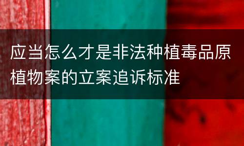 应当怎么才是非法种植毒品原植物案的立案追诉标准