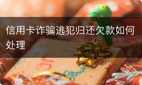 信用卡诈骗逃犯归还欠款如何处理