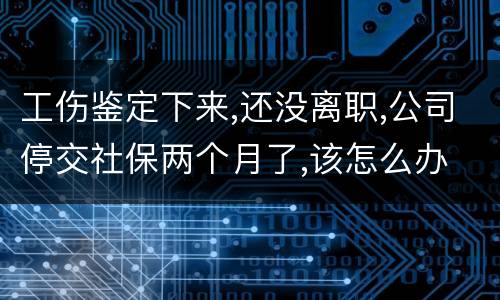 工伤鉴定下来,还没离职,公司停交社保两个月了,该怎么办