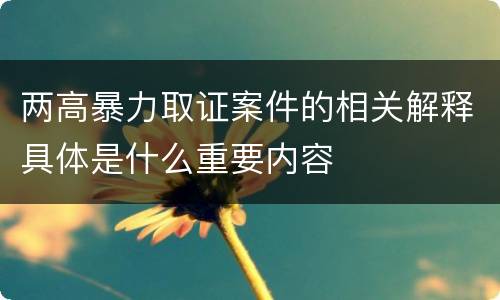 两高暴力取证案件的相关解释具体是什么重要内容
