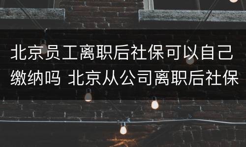 北京员工离职后社保可以自己缴纳吗 北京从公司离职后社保怎么继续交