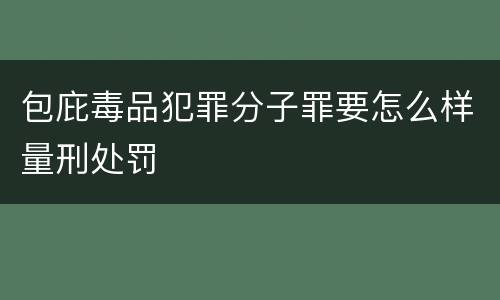 包庇毒品犯罪分子罪要怎么样量刑处罚