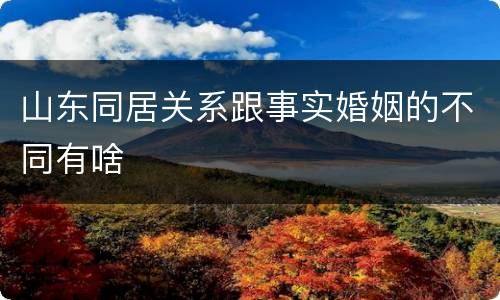 山东同居关系跟事实婚姻的不同有啥