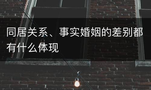 同居关系、事实婚姻的差别都有什么体现