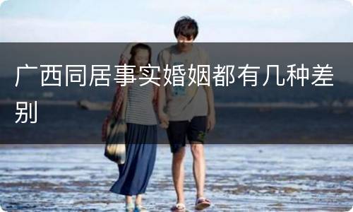 广西同居事实婚姻都有几种差别