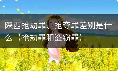 陕西抢劫罪、抢夺罪差别是什么（抢劫罪和盗窃罪）