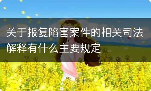 关于报复陷害案件的相关司法解释有什么主要规定