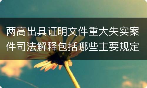 两高出具证明文件重大失实案件司法解释包括哪些主要规定