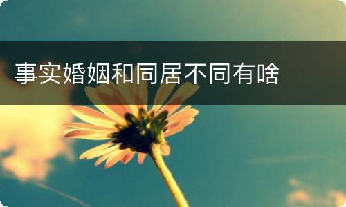 事实婚姻和同居不同有啥