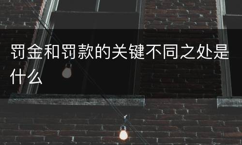 罚金和罚款的关键不同之处是什么