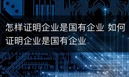 怎样证明企业是国有企业 如何证明企业是国有企业