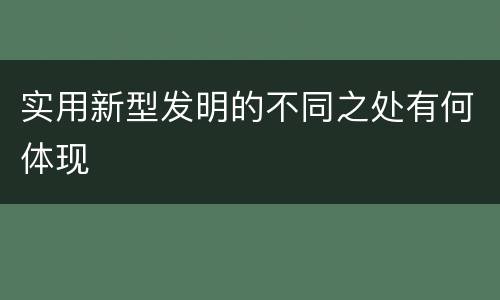实用新型发明的不同之处有何体现