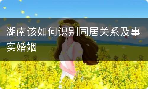 湖南该如何识别同居关系及事实婚姻