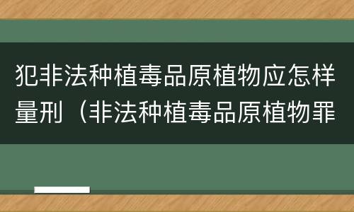 犯非法种植毒品原植物应怎样量刑（非法种植毒品原植物罪是什么犯罪类型）