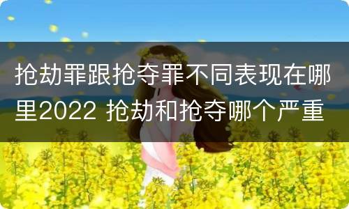 抢劫罪跟抢夺罪不同表现在哪里2022 抢劫和抢夺哪个严重