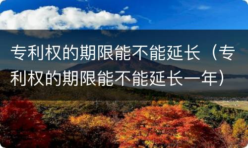 专利权的期限能不能延长（专利权的期限能不能延长一年）
