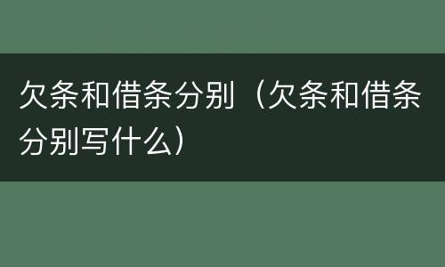 欠条和借条分别（欠条和借条分别写什么）