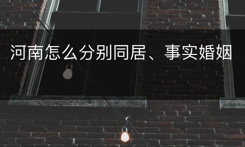 河南怎么分别同居、事实婚姻