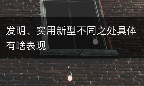 发明、实用新型不同之处具体有啥表现