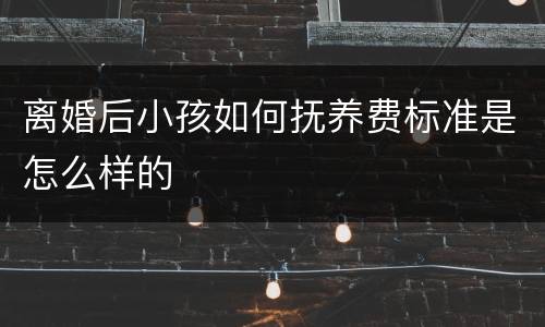 离婚后小孩如何抚养费标准是怎么样的