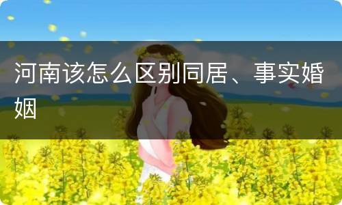河南该怎么区别同居、事实婚姻