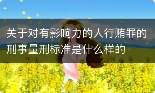 关于对有影响力的人行贿罪的刑事量刑标准是什么样的