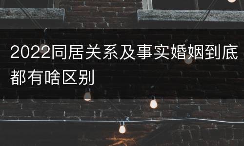 2022同居关系及事实婚姻到底都有啥区别