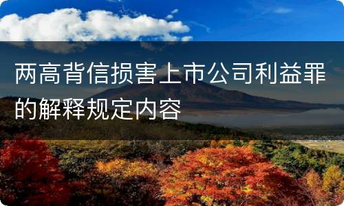 两高背信损害上市公司利益罪的解释规定内容