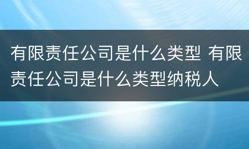 有限责任公司是什么类型 有限责任公司是什么类型纳税人