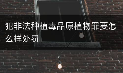 犯非法种植毒品原植物罪要怎么样处罚