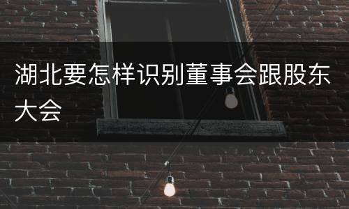 湖北要怎样识别董事会跟股东大会