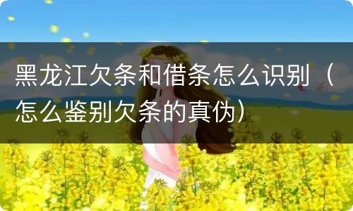 黑龙江欠条和借条怎么识别（怎么鉴别欠条的真伪）