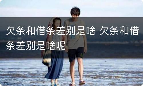 欠条和借条差别是啥 欠条和借条差别是啥呢