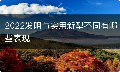 2022发明与实用新型不同有哪些表现