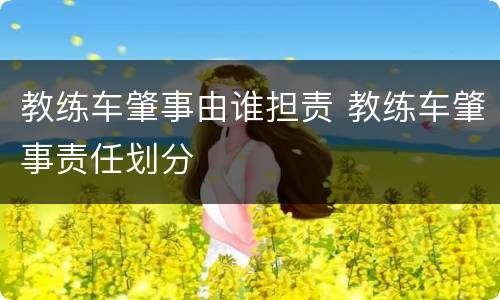 教练车肇事由谁担责 教练车肇事责任划分