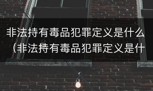 非法持有毒品犯罪定义是什么（非法持有毒品犯罪定义是什么标准）