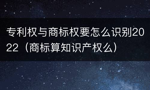 专利权与商标权要怎么识别2022（商标算知识产权么）