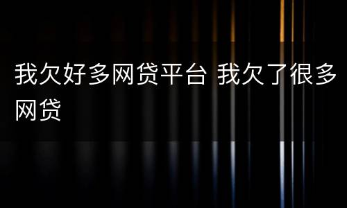 我欠好多网贷平台 我欠了很多网贷