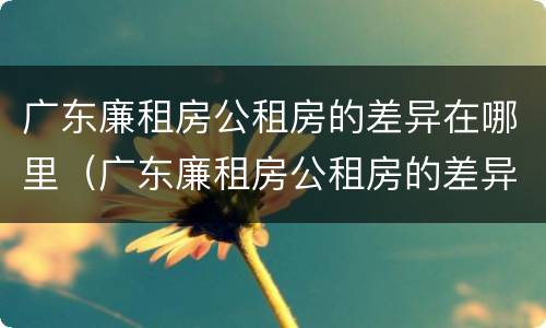 广东廉租房公租房的差异在哪里（广东廉租房公租房的差异在哪里查询）
