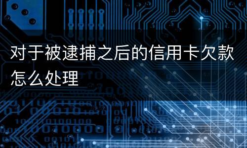 对于被逮捕之后的信用卡欠款怎么处理