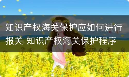 知识产权海关保护应如何进行报关 知识产权海关保护程序