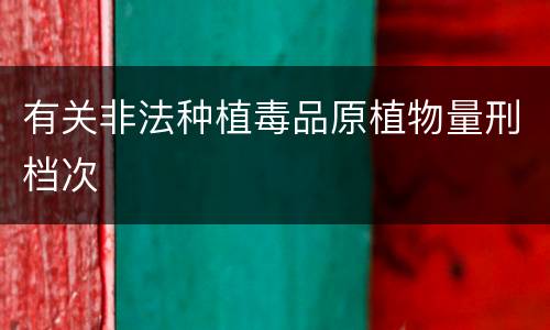 有关非法种植毒品原植物量刑档次