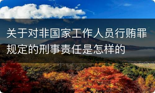关于对非国家工作人员行贿罪规定的刑事责任是怎样的