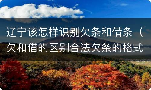 辽宁该怎样识别欠条和借条（欠和借的区别合法欠条的格式图片）