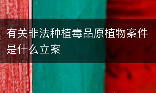 有关非法种植毒品原植物案件是什么立案