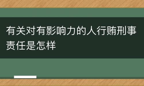 有关对有影响力的人行贿刑事责任是怎样